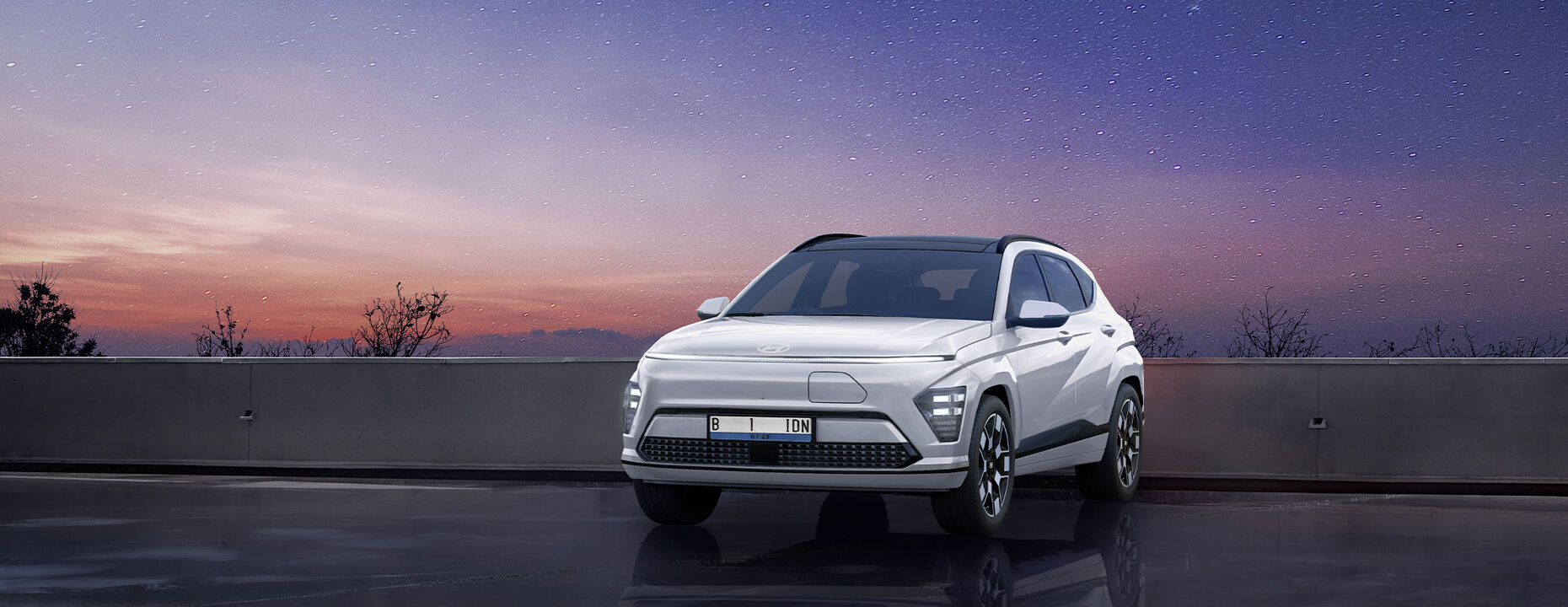 Kona Electric - Banner